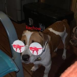 Meet your Posher, Jadin